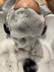 カシェット(Cachette)の写真/人気のヘッドスパで頭皮からしっかりケア！日頃の疲れを癒しながらキレイになれる☆