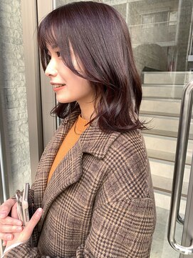 アペット(Appet) ココアブラウン/顔周りカット