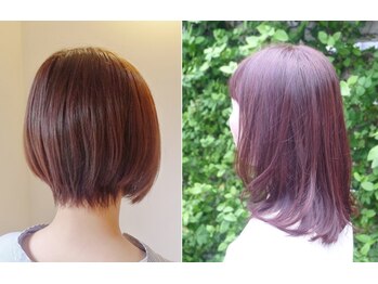 Ａｔｅｌｉｅｒ　Ｔipo