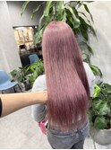 ピンクラベンダー