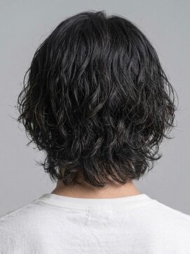 レボ(Revo) サーフカール!