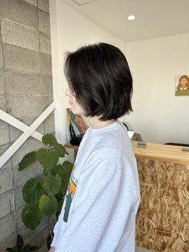 バイ(by) クセボブ