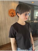 マッシュショート氏木