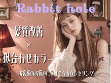 ラビットホール(Rabbit hole)