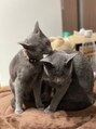 プールス(PURUS) 大事な大事な家族です。可愛すぎていつも癒されています…