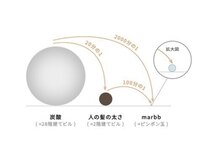 今までの炭酸とは違う!炭酸の2000分の1、驚異的な小ささ♪