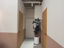 ボトル(bottle)の雰囲気(様々なところにグリーンやお花を飾っています)