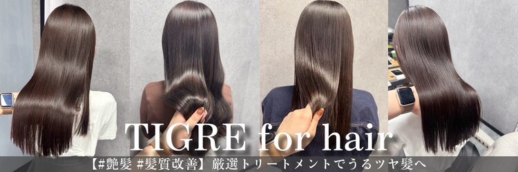 ティグルフォーヘア(TIGRE for hair)のサロンヘッダー