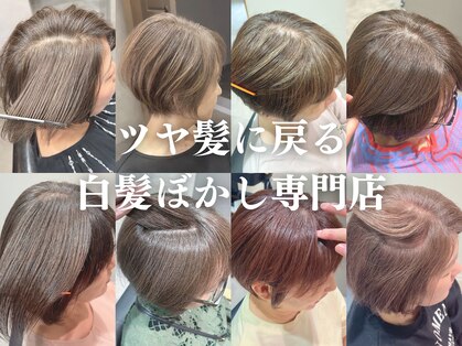 ミルシェ(MILSHE)の写真