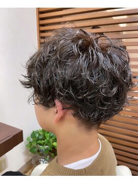 スワン山の田 ブリーチ無しアッシュベージュ×スパイラルパーマ