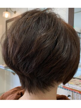 メイン クーン(Maine Coon) ベーシックショート