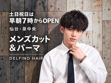 デルフィーノ ヘアーパフォーム(delfino hair perform)