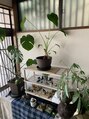 美容室ソラ 小岩店(sora)&nbsp;伸び盛りの観葉植物たち