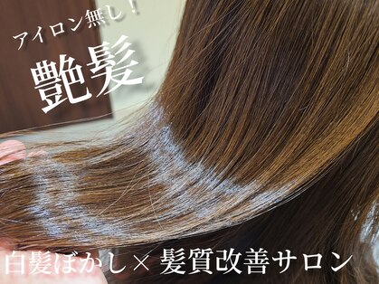 クシェルヘア(kuschel hair)の写真