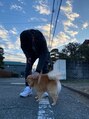 ロータスヘア(Lotus hair)&nbsp;実家のポメラニアン。いつも癒してくれる愛犬です♪