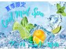 【夏のヘッドスパ】Newクールミントspa(5分)+カット+カラー+3stepTR￥11990