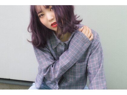 ハチ(hachi)の写真
