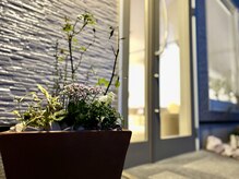 【掛川市/美容室】照明や植物にもこだわっています