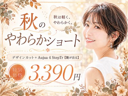 コトコ 北浦和(cotoco)の写真