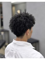 シード(SEED)&nbsp;スパイキーパーマ