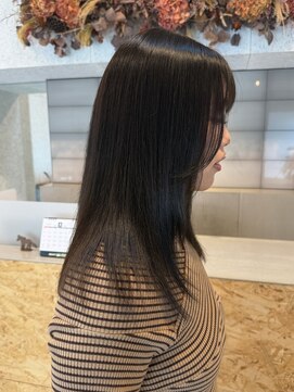 コモドルポ(comodo rupo) 深みオリーブ