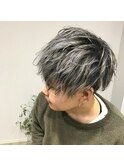 【BOTANIUM.Hk by RrSALON】シルバーアッシュ