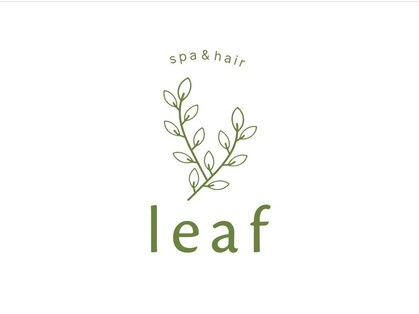リーフ(leaf)の写真