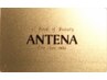 ANTENA ゴールドカード 前回来店日から2ヶ月間20%off♪
