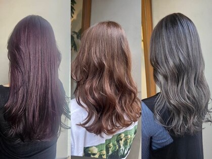 デイジー(Daisy)の写真