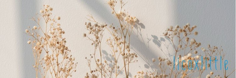 リコ リトル 札幌駅前(lico×little)のサロンヘッダー