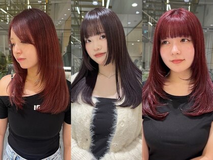 ゼスト フィーノ(ZEST fino)の写真