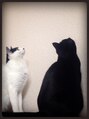 カリーナ(Carina) うちの娘達☆Suni&Louis