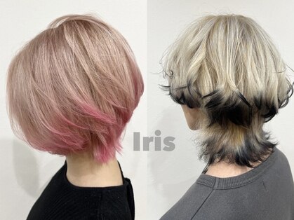 イリス(Iris)の写真