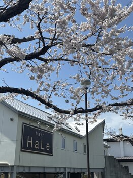 ハレ(HaLe)の写真/開放感のあるプライベートサロンで、周りを気にせずゆったりとリラックスして過ごしたい方にもオススメ♪