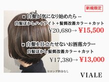 ヴィアーレ(VIALE)