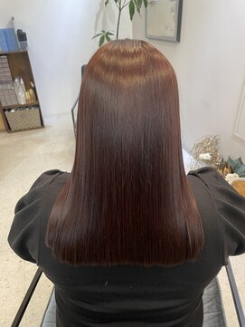 ジエクト ヴィシア(The Ect VIXIA) レッドブラウン/ボルドー/チェリーレッド/髪質改善