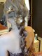 美容室 テアトロ ラ ビアンカの写真/≪テアトロ・ラ・ビアンカ≫のヘアセットで大事で特別な日を彩ります◎崩れにくいセットは一日中楽に◎