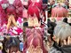 ヘアセットアップス(UP's)の写真