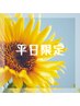 【平日限定】カット＋カラー