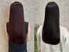 【新規限定】カット＋最高級ケラスターゼTRセット