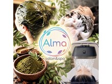 アルマ(Alma)