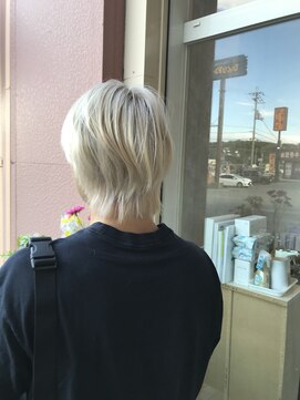 ガーベラ(gerbera) マッシュウルフ