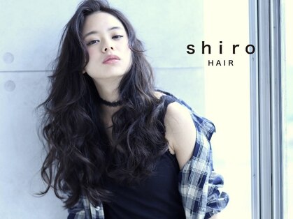 シロヘアー(shiro hair)の写真