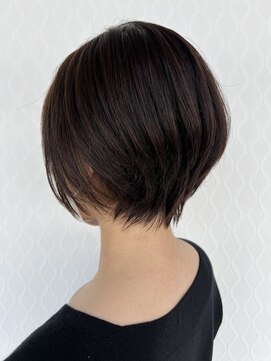 ペッツショコラ(PETZ chocolat) 夏仕様スッキリショート/ショート/カット藤枝