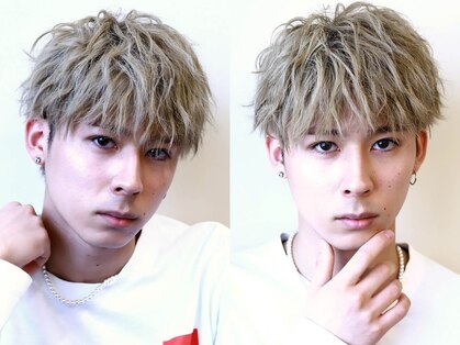 クーシ(kuusi)の写真