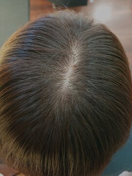 レイディバードカラー ヤオコー足利八幡店 30分のリタッチカラー（根元白髪染め）