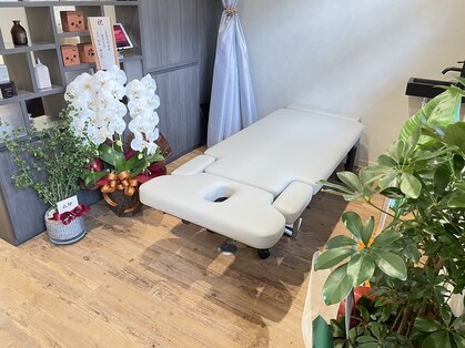 シュガー(sugar)の写真