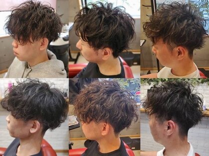バルビエーレ アーディ(Barbier Adi)の写真