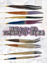 600種類以上の毛束から厳選されたカラー剤