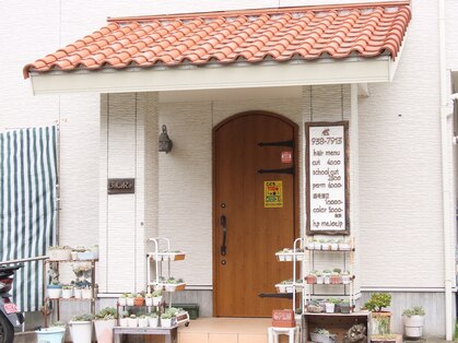 ボレロ(BoLeRo)の写真